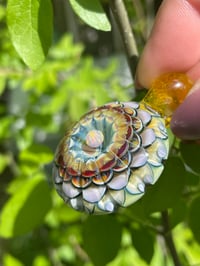 Image 3 of Sunburst Dahlia