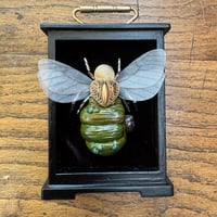 Image 1 of Pumpkin bee (b, 3 x 4 inches)