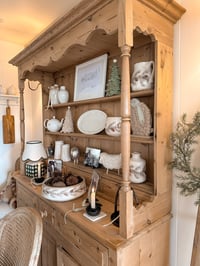 Image 2 of Classic Fir Collection - Pot