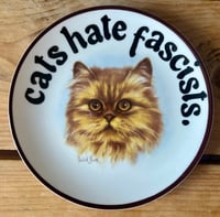 Image 1 of cats hate fascists & ACAB