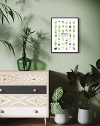 Image 3 of SEATTLE – MATCHA
