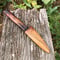 Image of 100mm Paring Knife N690 Stainless Myall