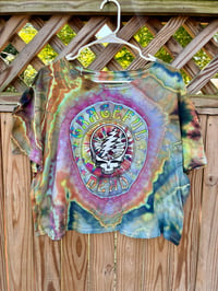 Image 1 of XL #1 Lazy Lightning Low Crop Tee