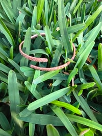 Image 6 of Wild Copper Roots