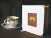 Oxalis 