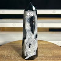 Image 1 of Black Agate Tower (22B)