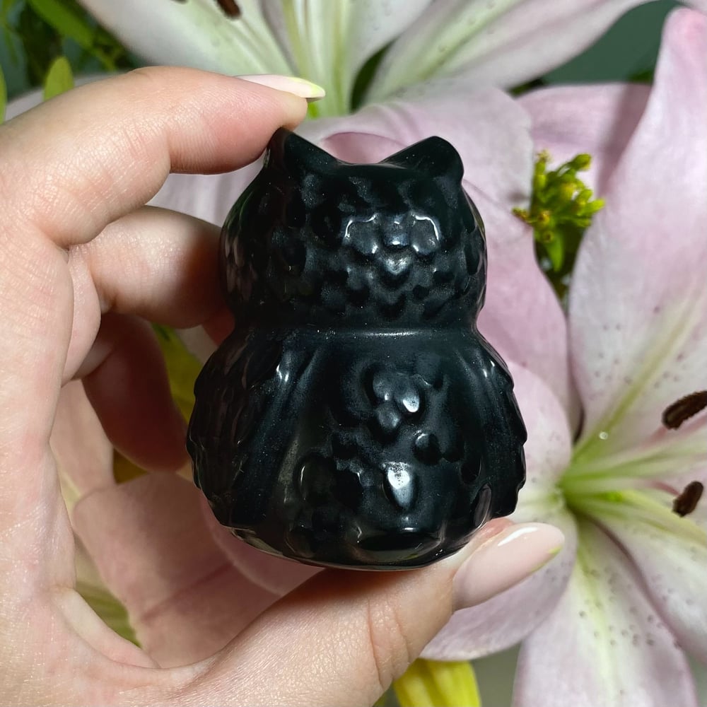 Image of Obsidian Owl