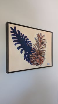 Image 4 of Loblolly Pine Cone #2