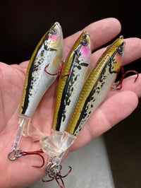 Image 3 of Bleeding Shiner 110 Plopper