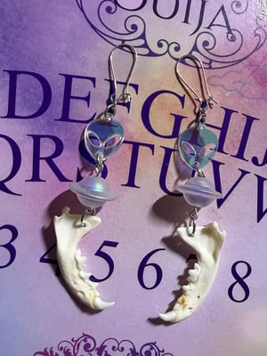 Image of Alien Mink Jaw Earrings