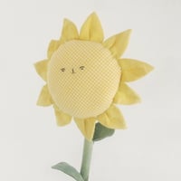 Image 1 of cocon sunflower 