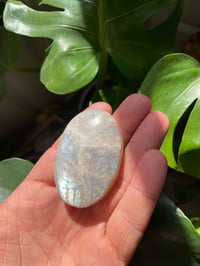Image 4 of Moonstone Palm Crystal (6)