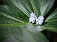 Image 4 of White & Black