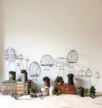 Image 1 of Wonderful Wire Mushroom Sculptures