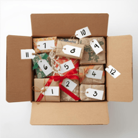 Image 2 of Spark ⚡️Christmas Joy BLIND BOX 🎁