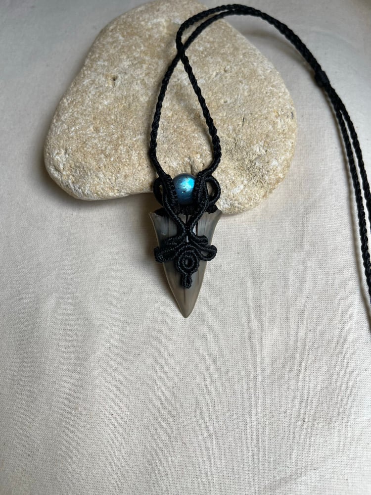 Image of     Macrame pendant with a fossilised shark tooth
