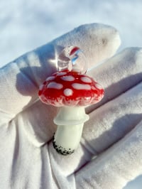 Amanita Mushroom #5