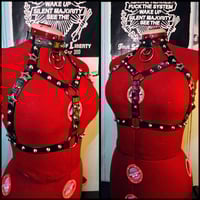 Image 6 of "STAR" conchos harness with studs