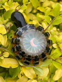 Image 3 of DarkSide Luna