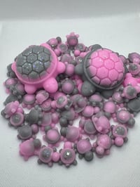 Image 4 of Turtle scoopie box 