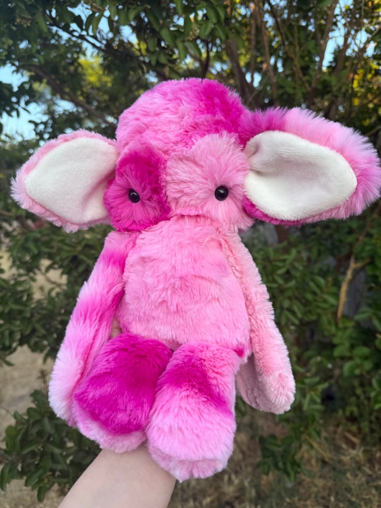 Image of Pinky
