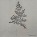 Image 2 of £50 originals - Fern , pointillism