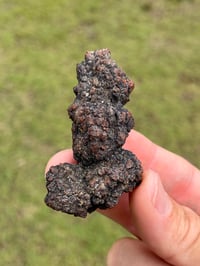 Image 3 of Coprolite Fossil (DinosaurPoo) #2252
