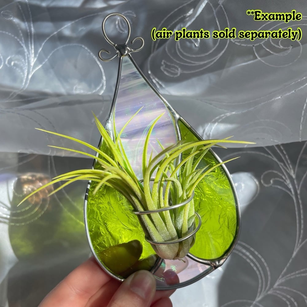 Image of Drip airplant hanger 