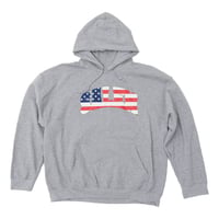 Image 1 of S4LEM COLLEGIATE USA HOODIE GRAY