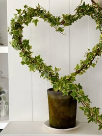 Image 2 of Topiary Trainer