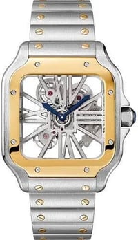 Image 2 of Santos Skeleton