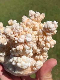 Image 14 of Calcite Crystal Cluster Reef Formation Specimen #1235