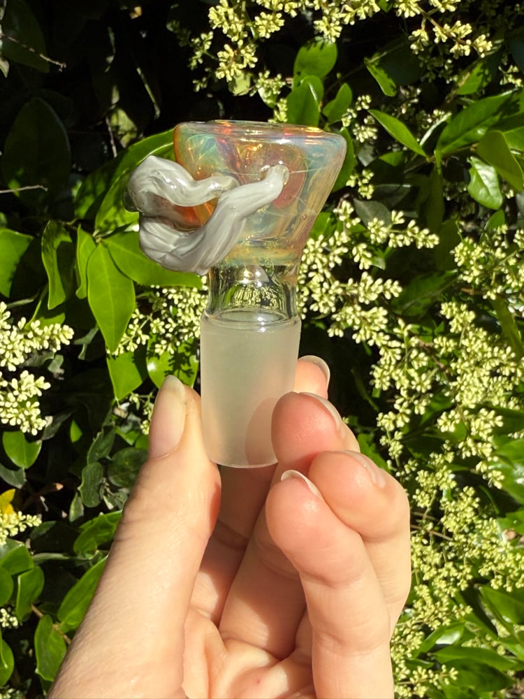 Image of Fantasy Forest 18 mm Slide  #2