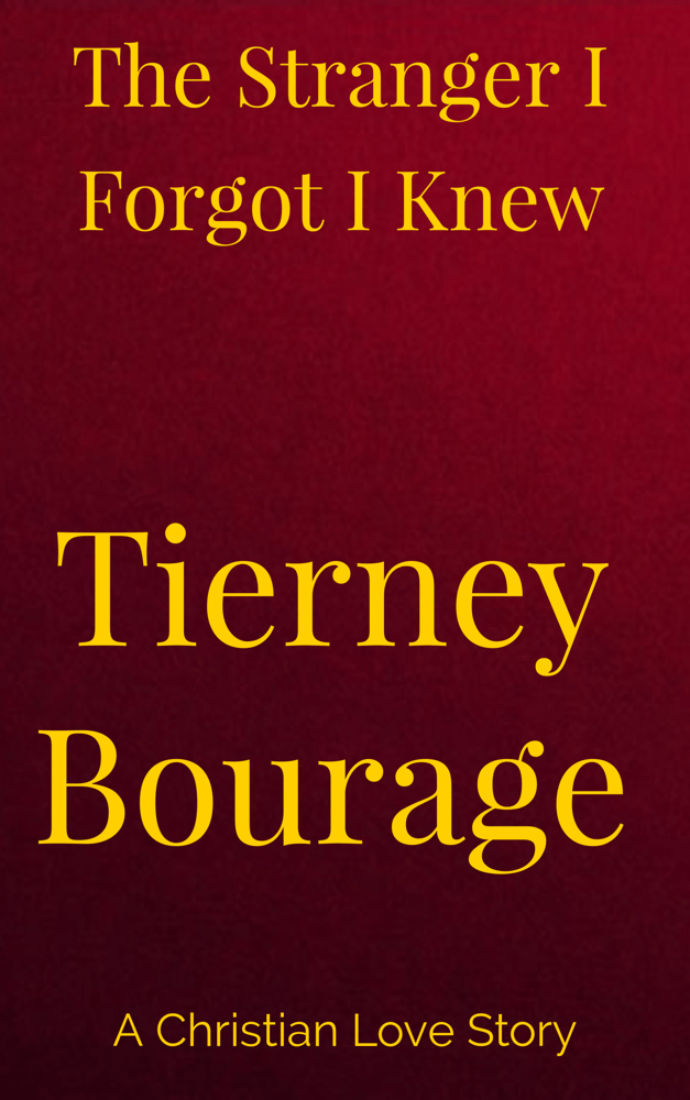 Image of The Stranger I Forgot I Knew (E-book only)