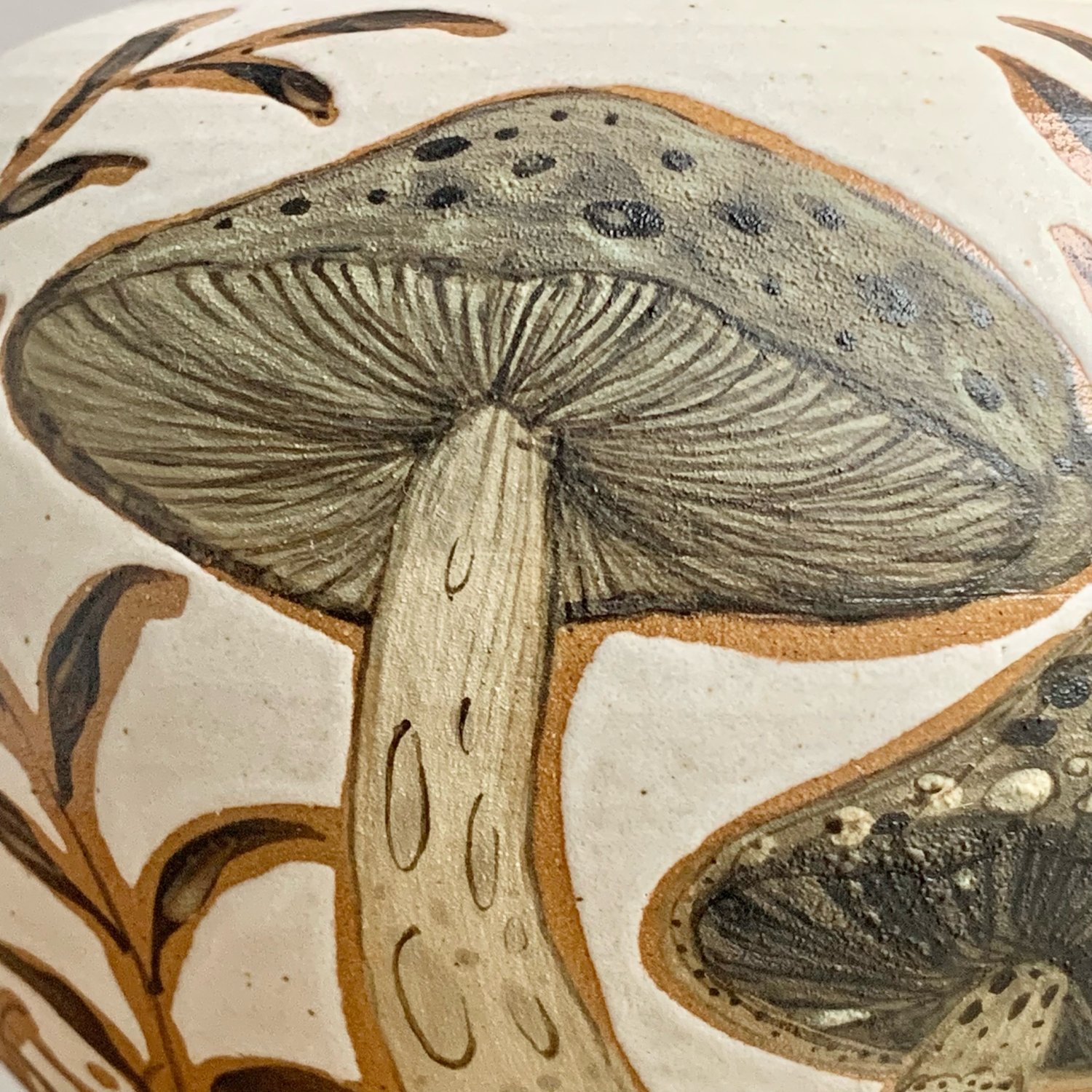 Image of Fungi Jar 