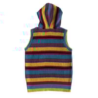 Image 2 of Betty's Blue hooded vest