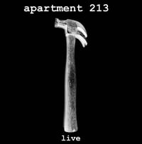 Image 1 of Apartment 213 - "Live At No Class" LP