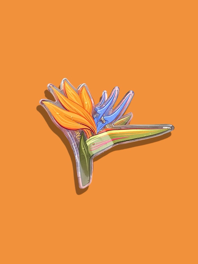 Image of Bird of Paradise Hunny Girl Claw Clip