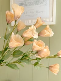 Image 3 of Luxury Lisianthus Bouquets ( 2 Colours )