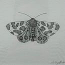 Image 2 of £50 originals - Tiger moth, pointillism