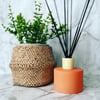 Short Urban Reed Diffuser 200ml - MATTE ORANGE  **ONLY 2 AVAILABLE**
