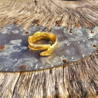 Image 2 of Golden wrap, US 8