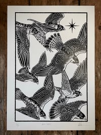 Image 1 of Darkstar - A3 Print