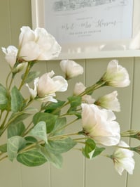 Image 2 of Luxury Lisianthus Bouquets ( 2 Colours )