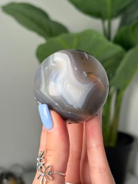 Image 4 of FUNKY BANDED ORCA AGATE SPHERES