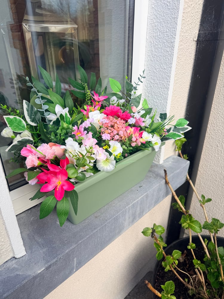 Image of Window Boxes 