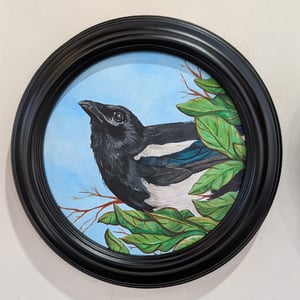 Magpie in Blue