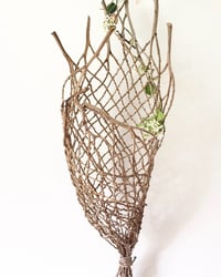 Image 2 of Workshop                                      “The Woven Garden” Bangalow Palm Sat 28 September 