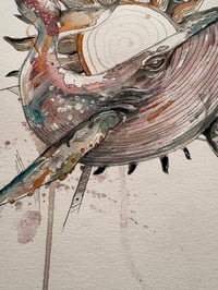 Image 5 of Baleine Solaire 