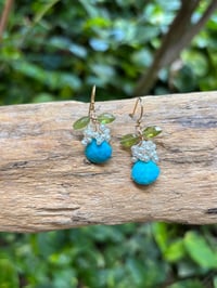 Image 1 of turquoise ohelo fruit